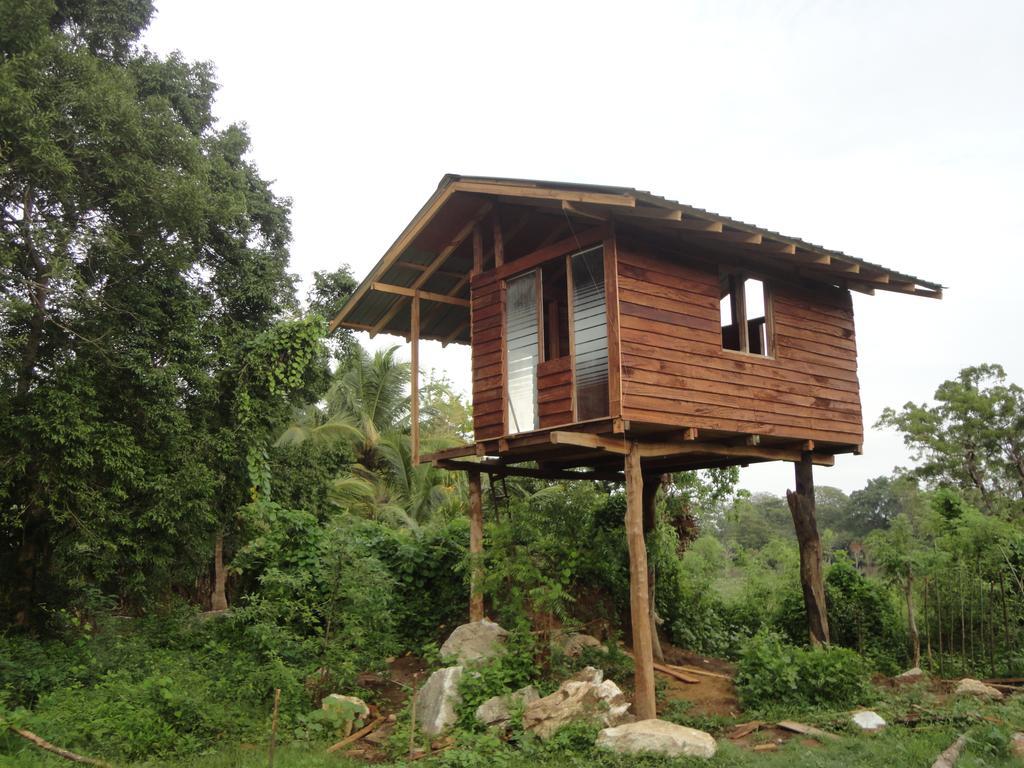 Sigiri Forest View Sigiriya Bilik gambar