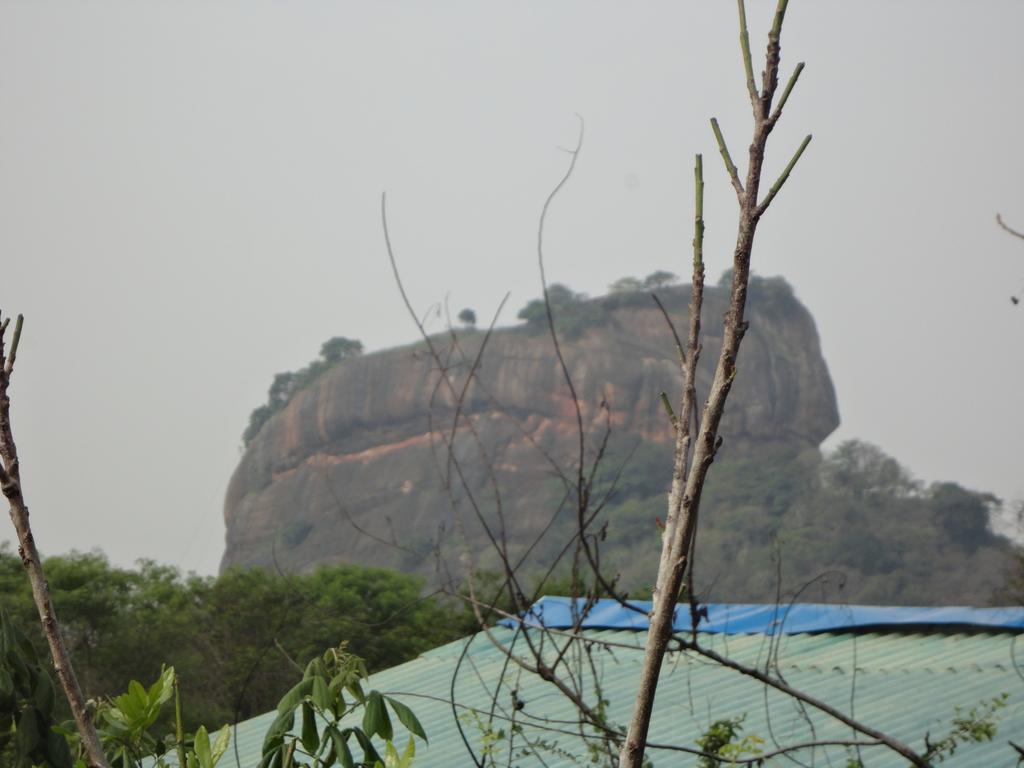 Sigiri Forest View Sigiriya Luaran gambar