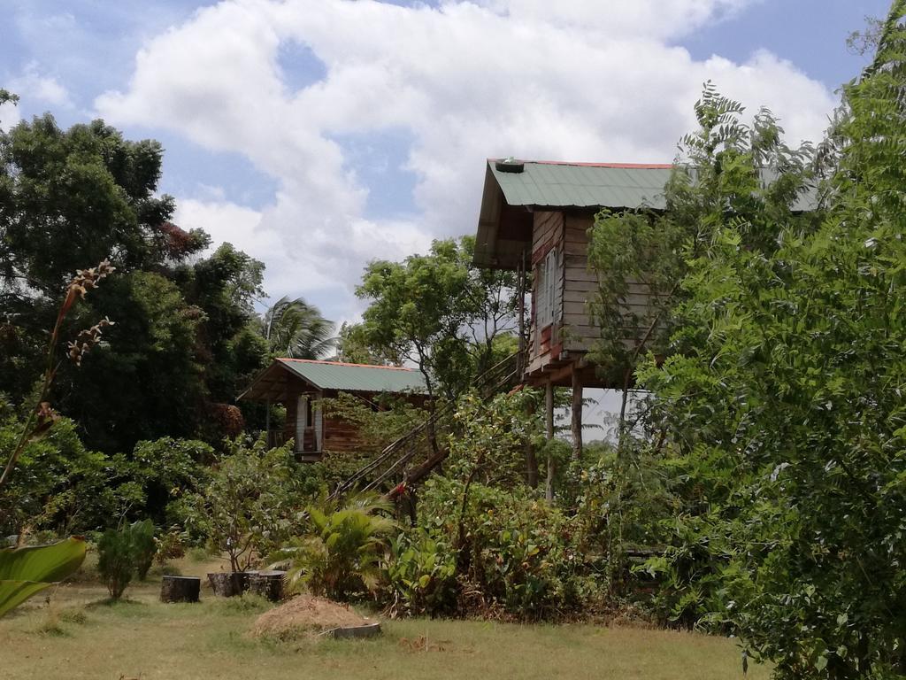 Sigiri Forest View Sigiriya Luaran gambar
