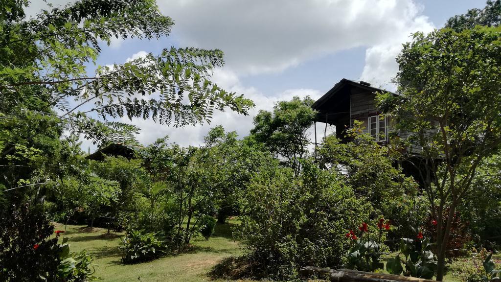 Sigiri Forest View Sigiriya Luaran gambar